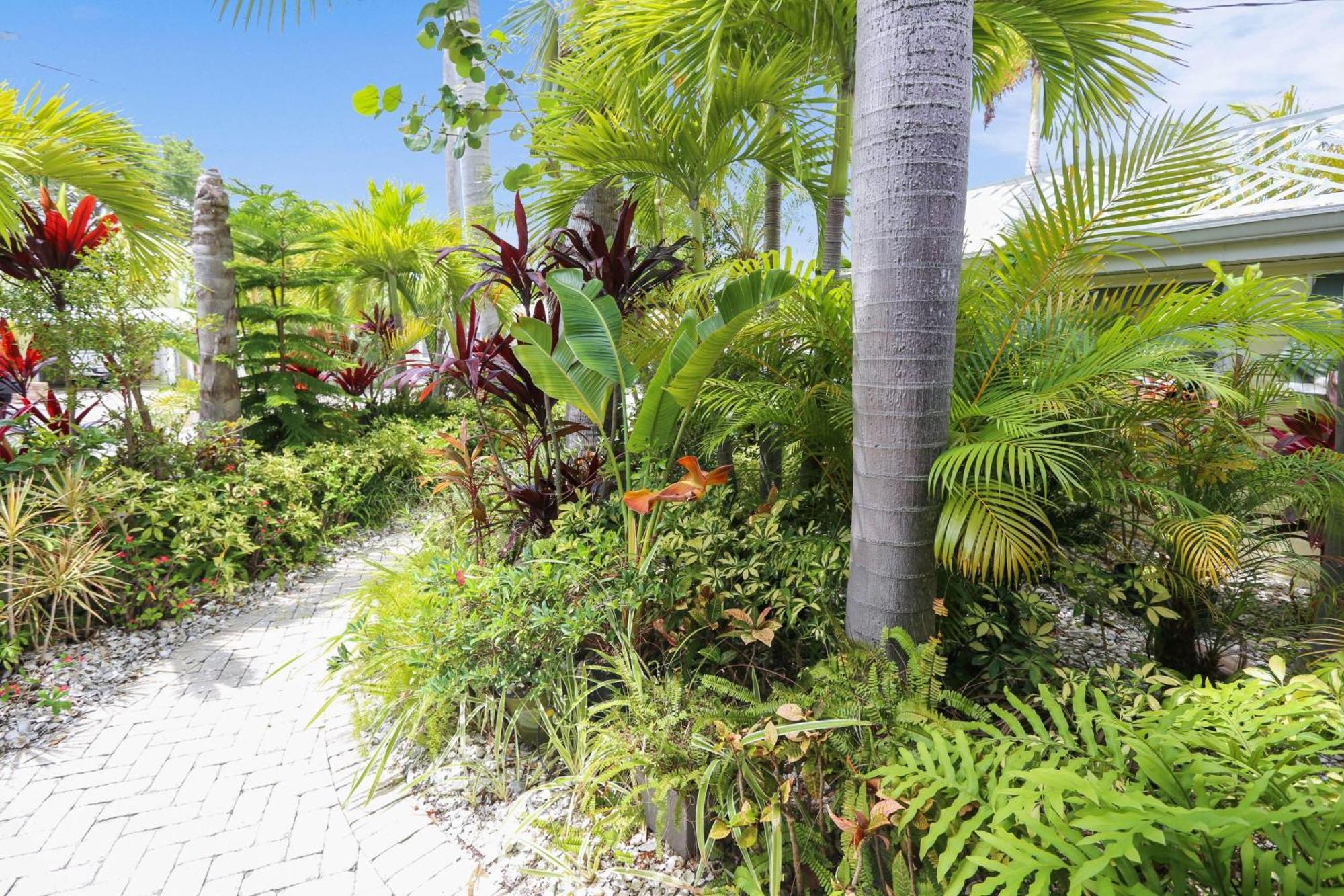 Coconut Paradise St. Pete Beach Exteriör bild